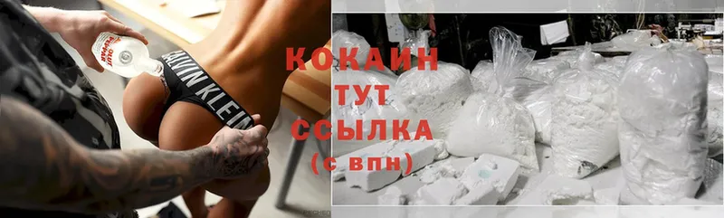 как найти закладки  Козловка  COCAIN Fish Scale 